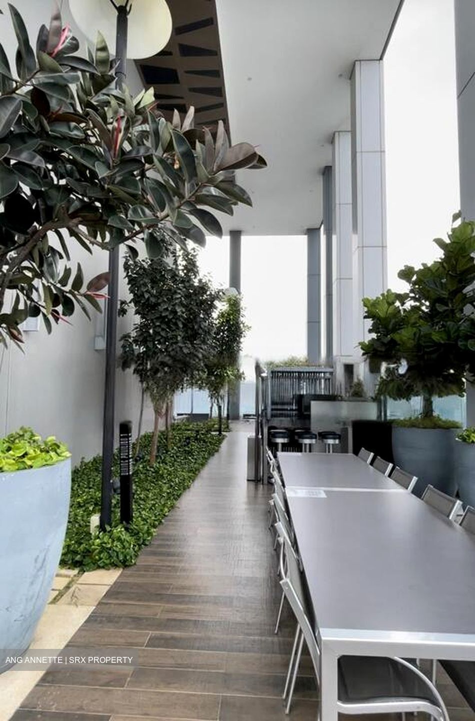Altez (D2), Apartment #458882201